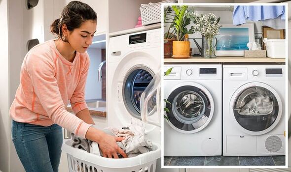 When is the Best Time to Buy a Dryer? A Savvy Shopper’s Guide