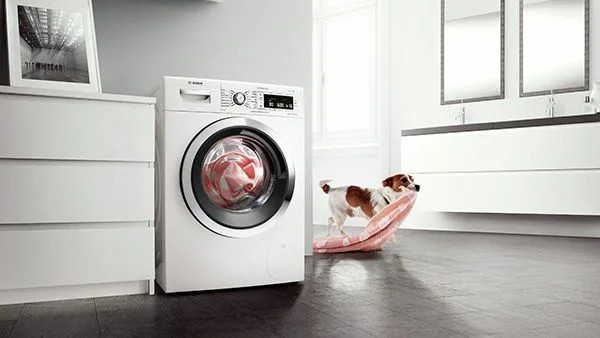 Your Ultimate Guide on How to Clean a Dryer Lint Trap and Screen